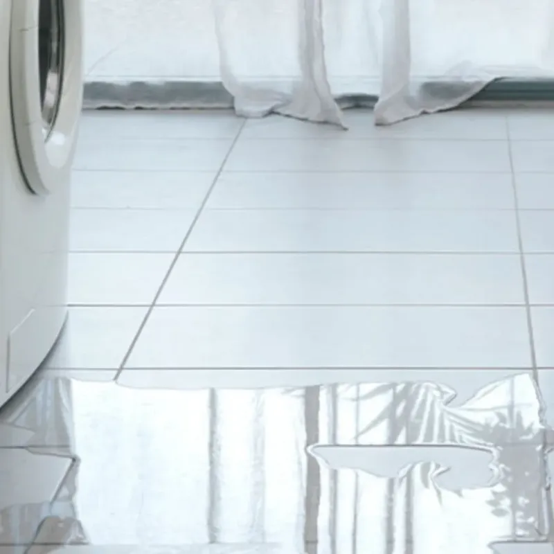 Appliance Leak Cleanup in Cheney, KS
