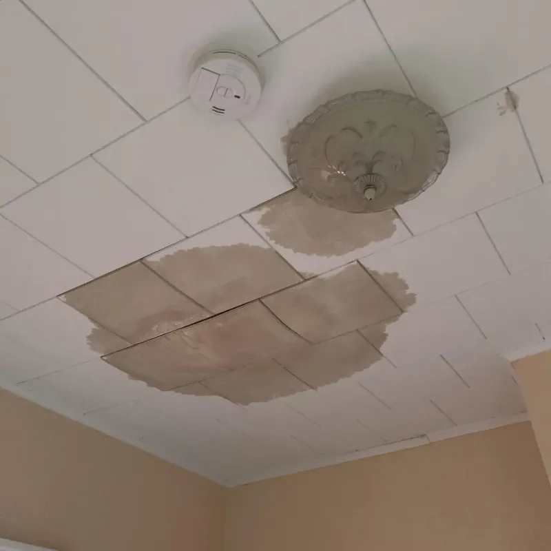 Ceiling Water Damage Repair in Cheney, KS
