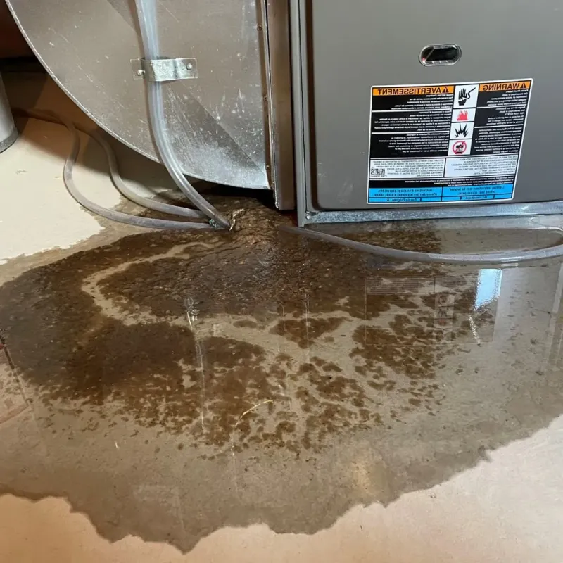 Pipe Burst and Leak Restoration in Cheney, KS