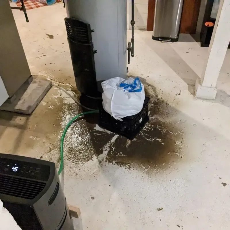 Sewage Backup Cleanup Service in Cheney, KS